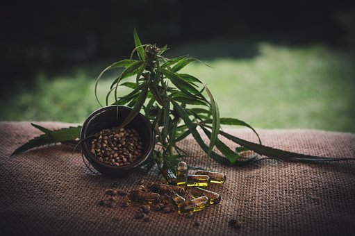 top seed banks