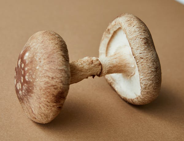 The Health Benefits of Mushroom Supplements: What You Need to Know