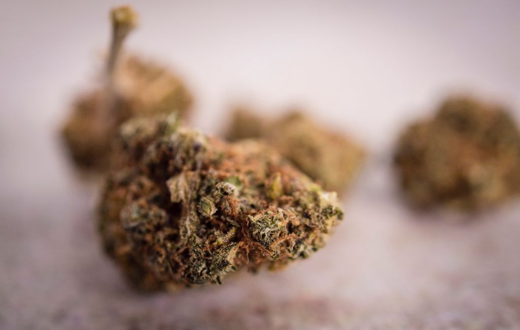 best thca flower